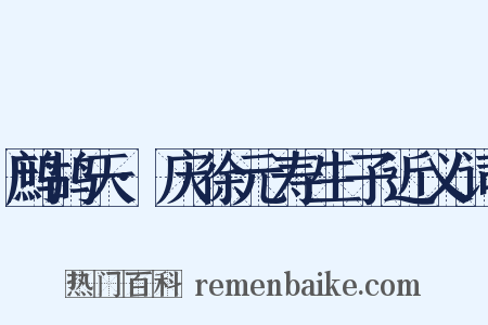 鹧鸪天·庆徐元寿生子近义词是什么意思的图片